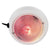 Perko Dome Light w/Red & White Bulbs OutdoorUp