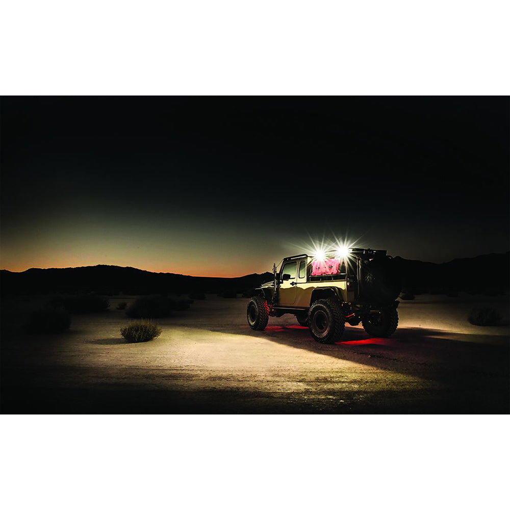 RIGID Industries 2x10 115 DC Scene Light Black - White LED OutdoorUp