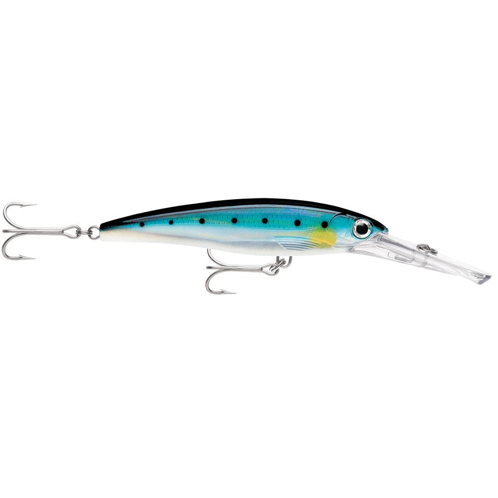 Rapala X-Rap Magnum 15 Blue Sardine OutdoorUp