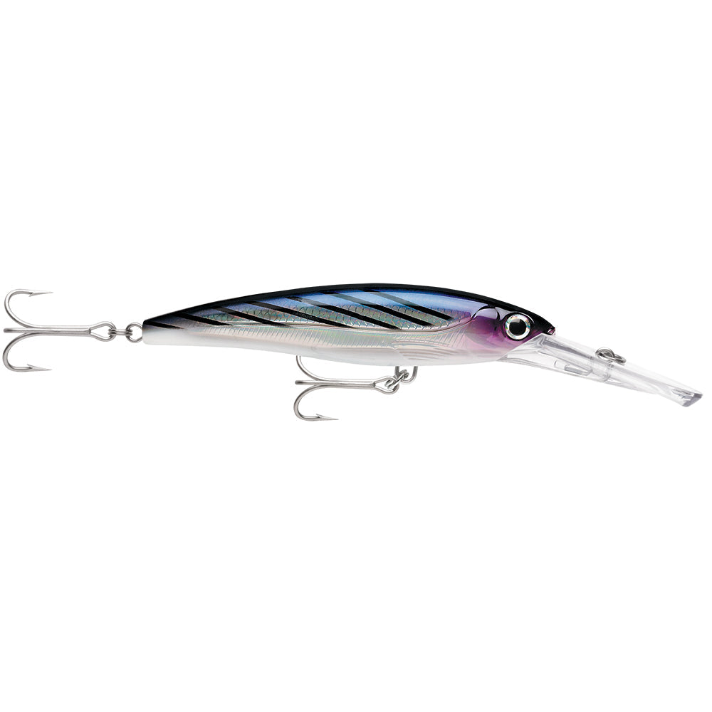 Rapala X-Rap Magnum 15 Bonito OutdoorUp