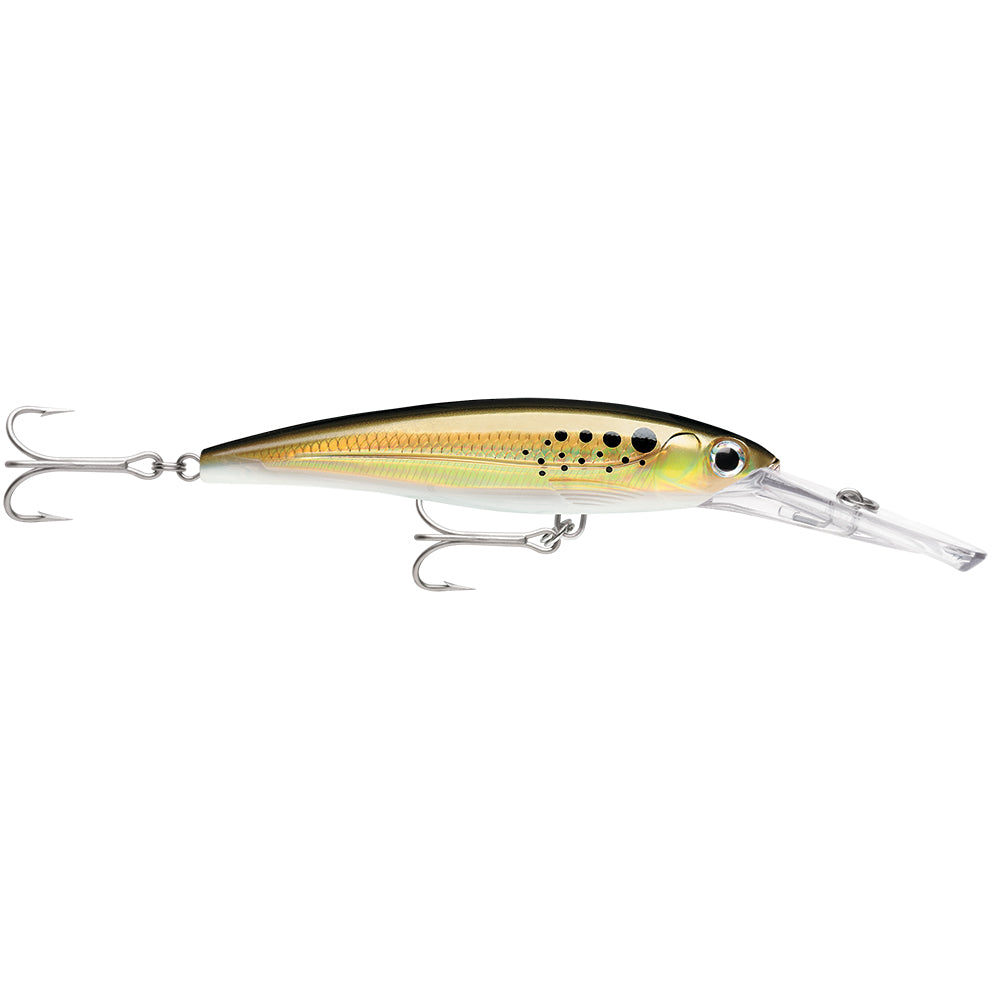 Rapala X-Rap Magnum 30 Bunker OutdoorUp