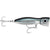 Rapala X-Rap Magnum Xplode 170 - Mullet OutdoorUp